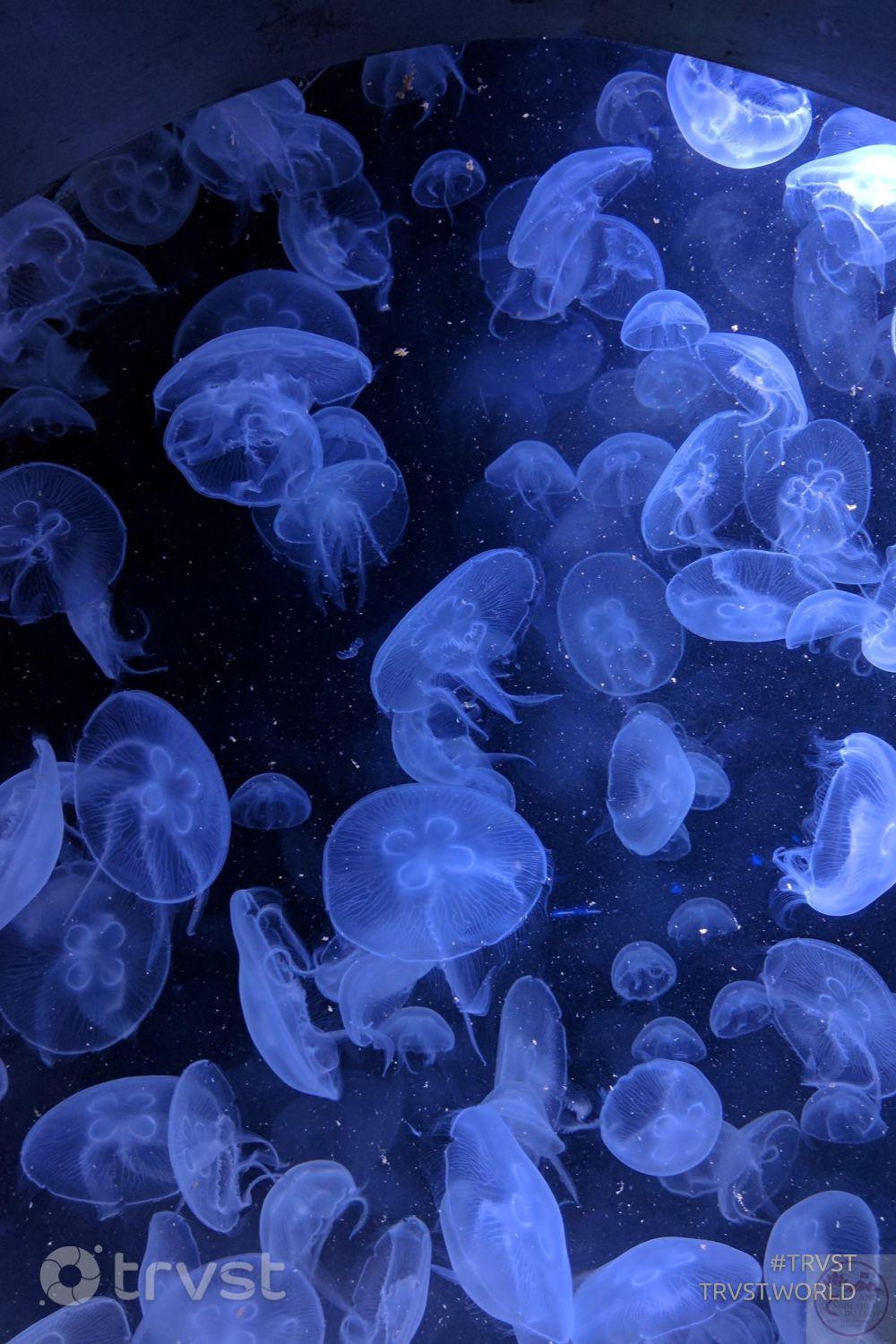 Đôi khi sự tĩnh lặng lại mang đến nguồn cảm hứng khó gọi thành lời