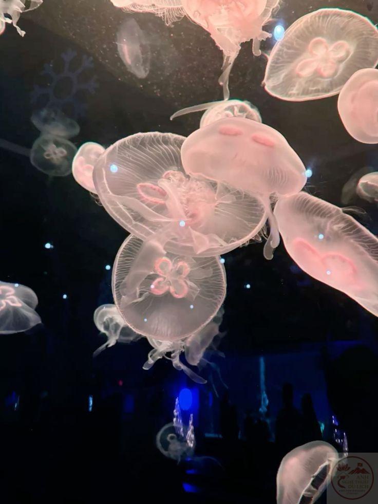 Không phải ngẫu nhiên mà lòng người trở nên dịu dàng lúc lặng yên