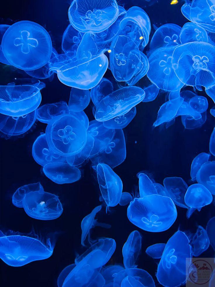 Người ta vẫn nói bình yên luôn ở sẵn trong mỗi chúng ta thôi