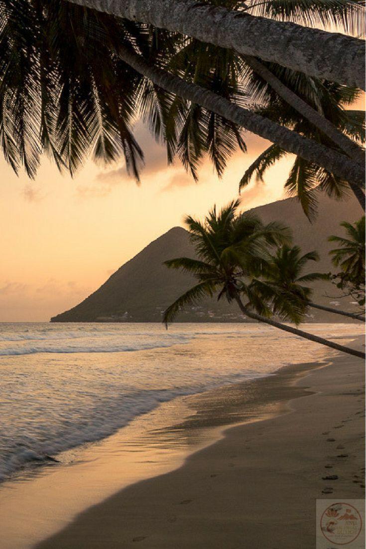 Ảnh bờ biển chill