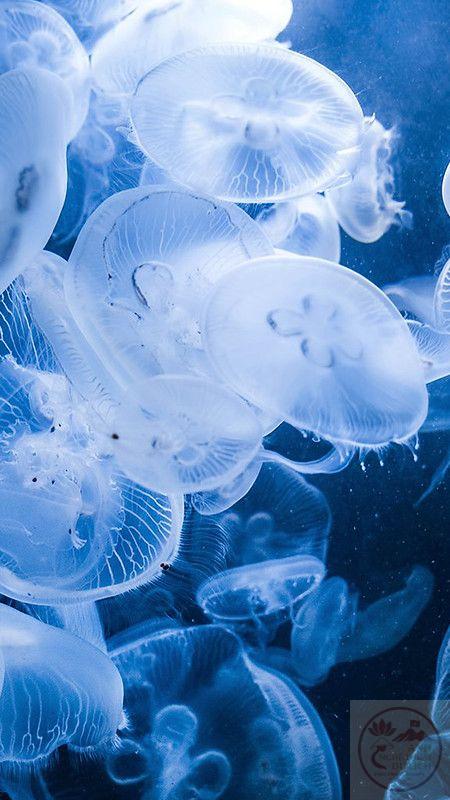 Ta nhận ra đôi khi hạnh phúc chỉ đơn giản là sự nhẹ nhõm này