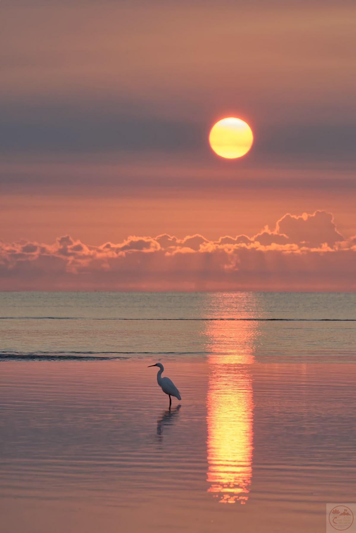 Ảnh hoàng hôn trên biển chill