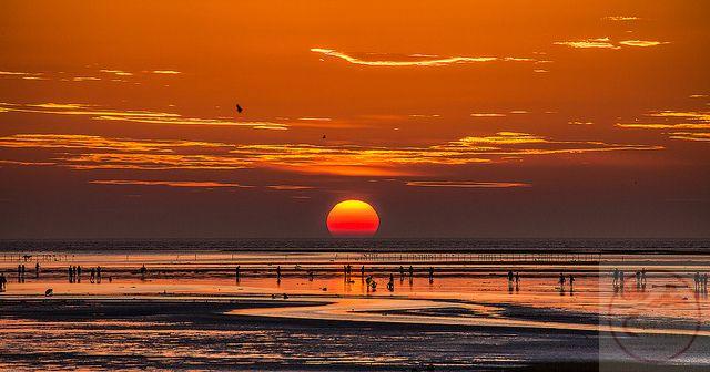 Chỉ cần ngồi yên đôi phút, lòng người đã thấy nhẹ nhàng hơn nhiều