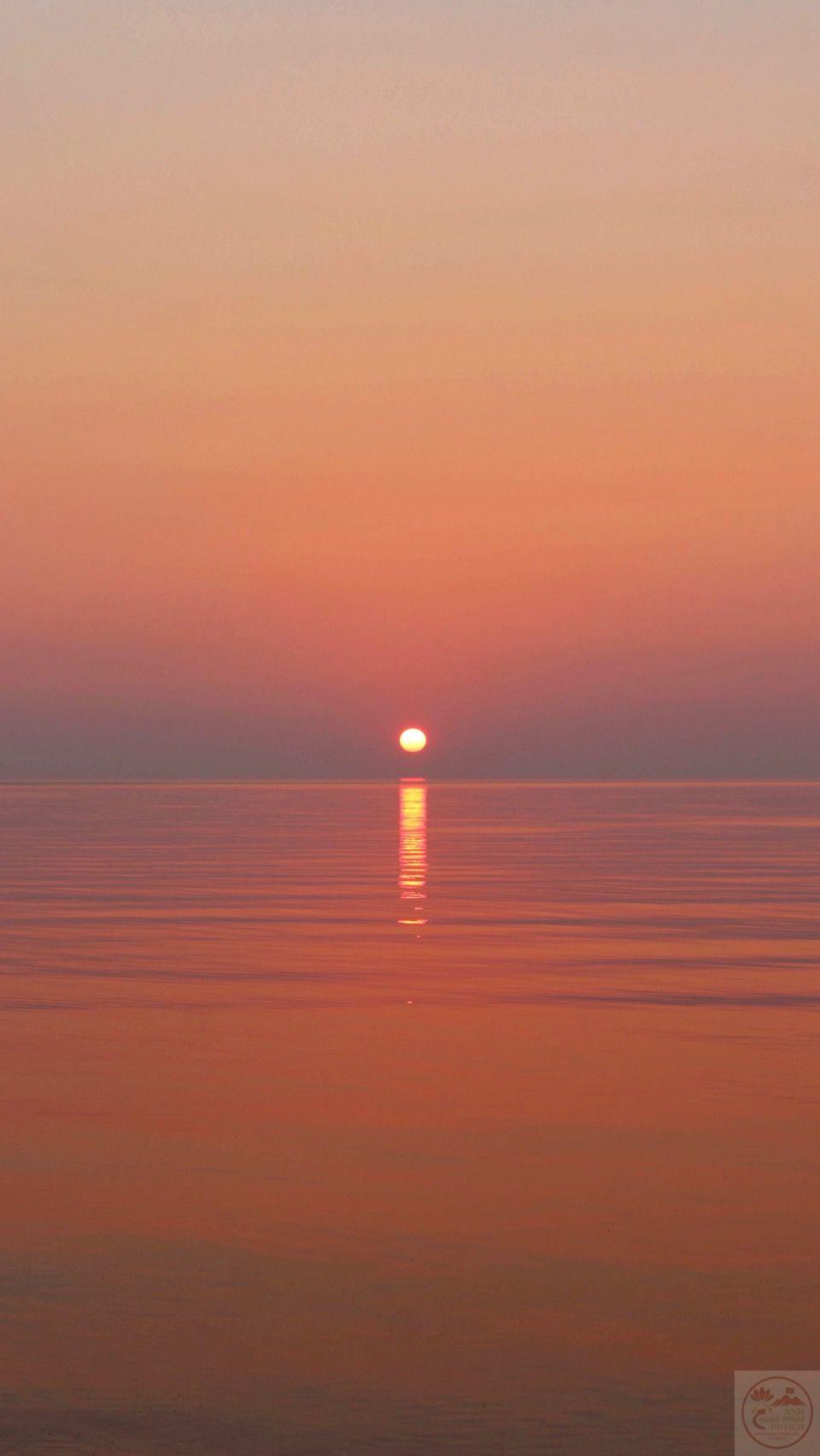 Dường như khi dừng lại, ta mới nhận ra sự an nhiên thật gần gũi