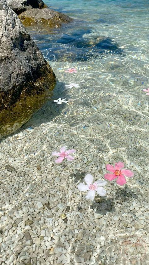 Ảnh cảnh biển chill