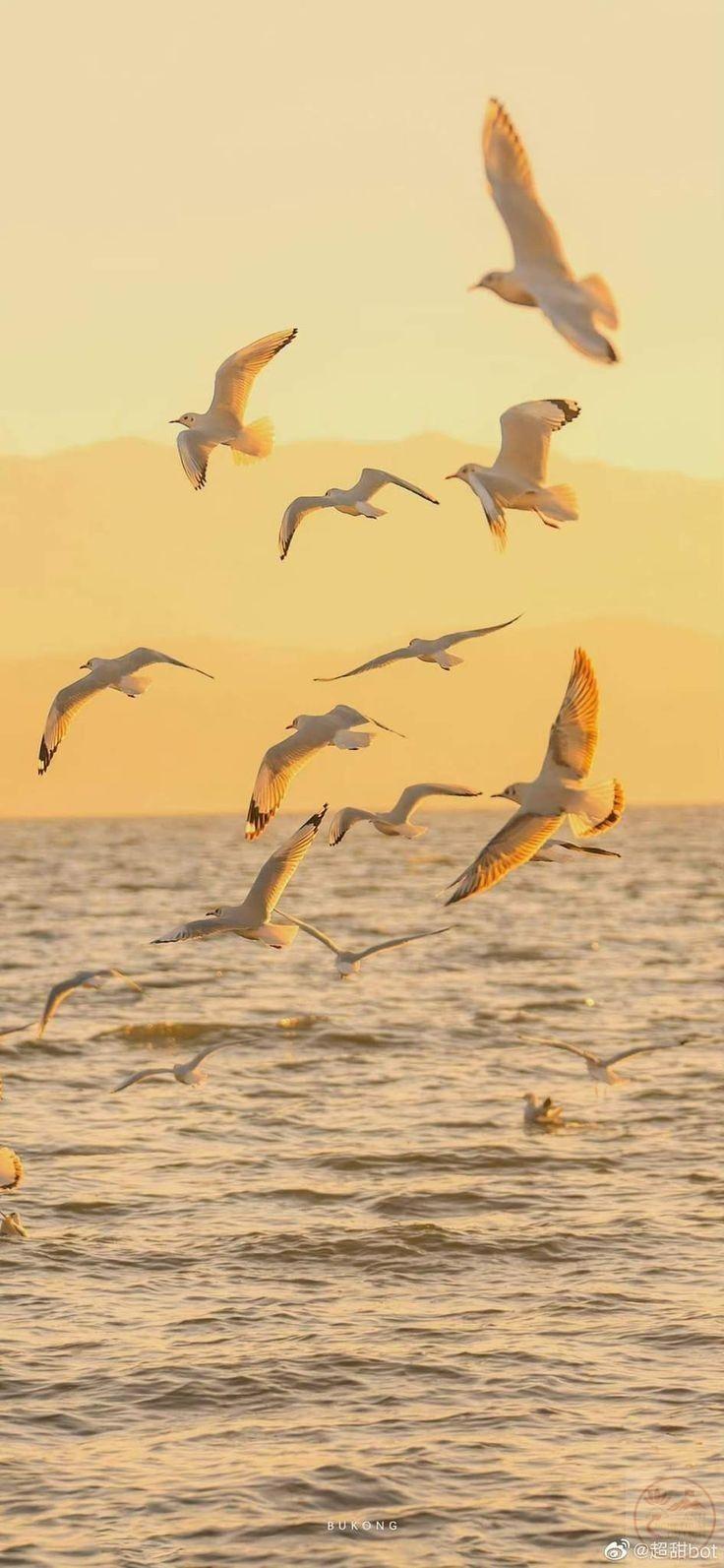 Điều giản dị nhất lại thường đem đến cảm giác thư thái bền lâu