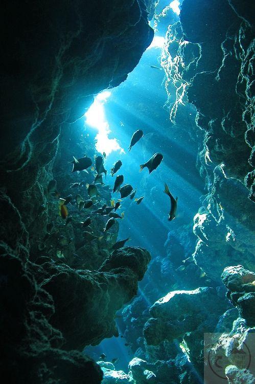 Đôi điều giản dị cũng có thể mang lại sự thoải mái khó ngờ