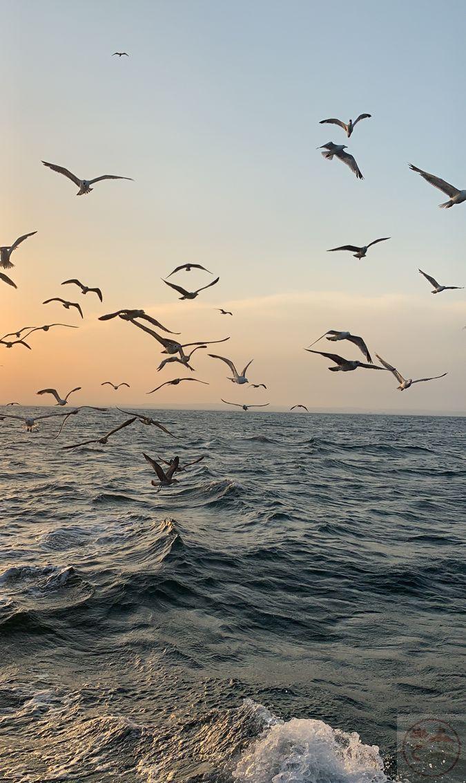 Một phần hạnh phúc xuất phát từ việc biết trân trọng khoảng lặng