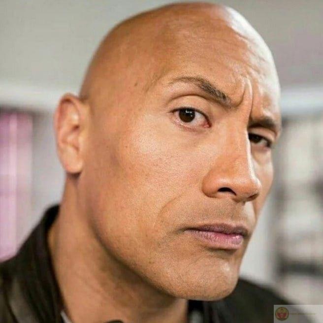 Sus meme lan rộng nhờ khả năng chèn vào nhiều tình huống khác nhau