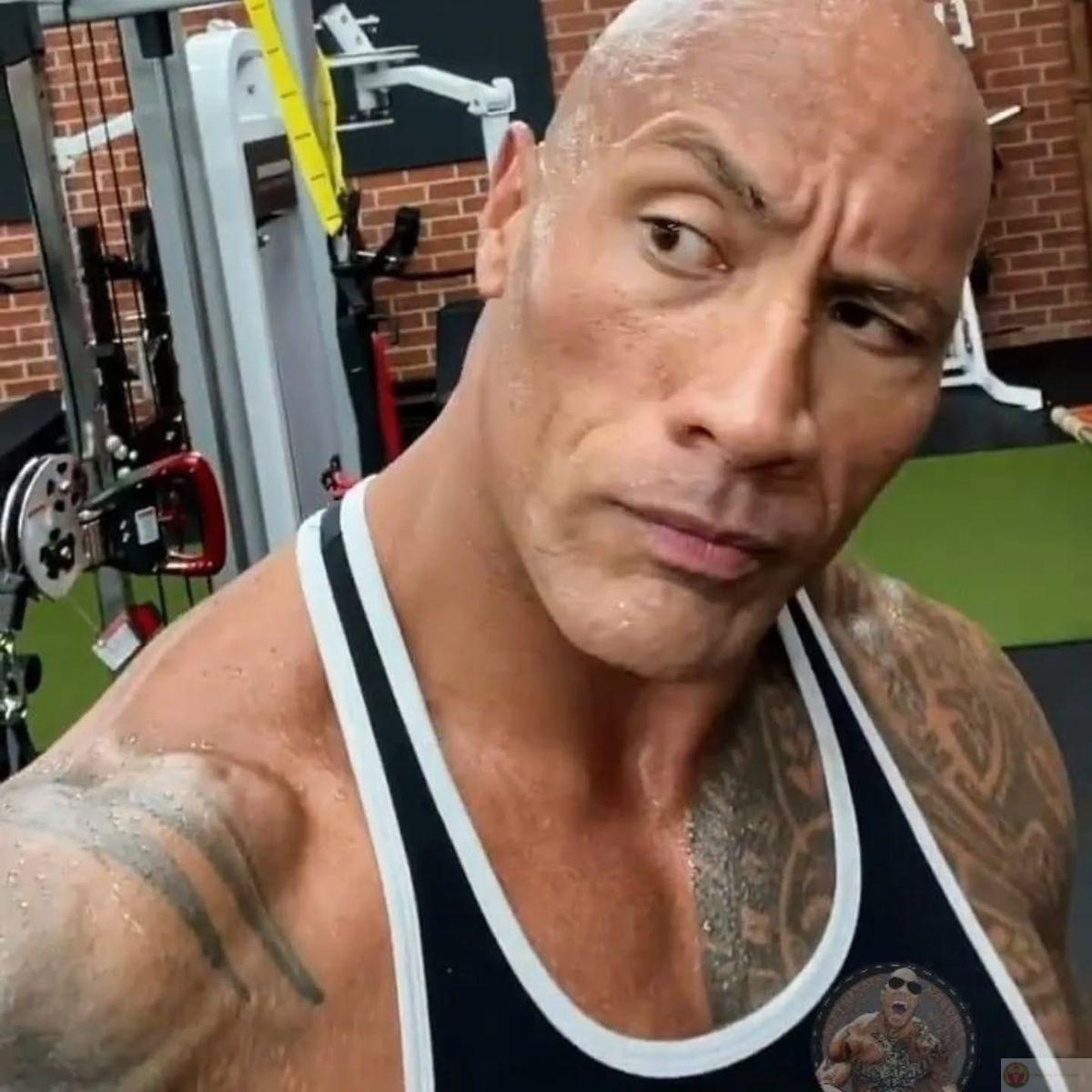 Sus meme gắn liền với những khoảnh khắc gây bất ngờ trong cuộc sống