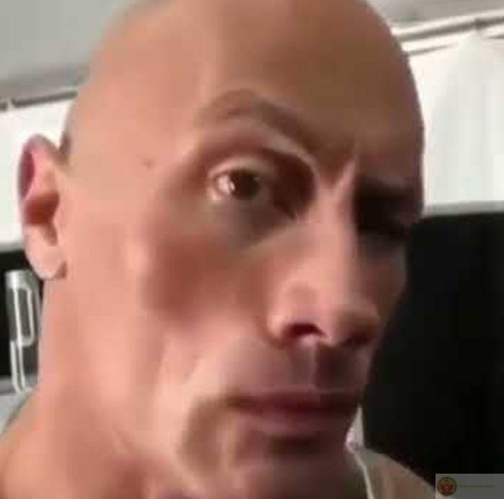 Sus meme là minh chứng rằng sự đơn giản cũng có thể tạo tiếng cười