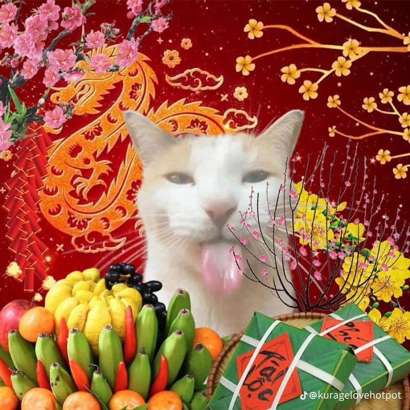 Ảnh chế Tết hình mèo