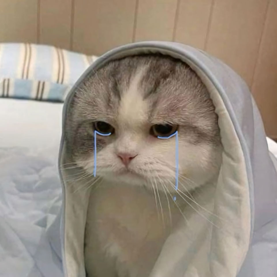 avatar anh con meo khoc 960px 960px avatar 7