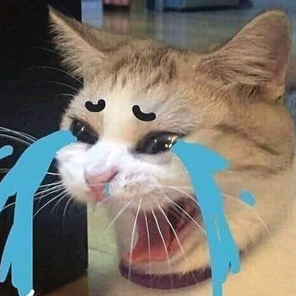 ha mieng anh con meo khoc 960px 960px avatar 9