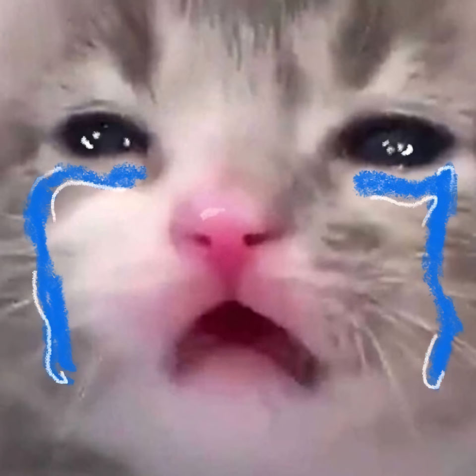 ha mieng anh con meo khoc 960px 960px avatar 6