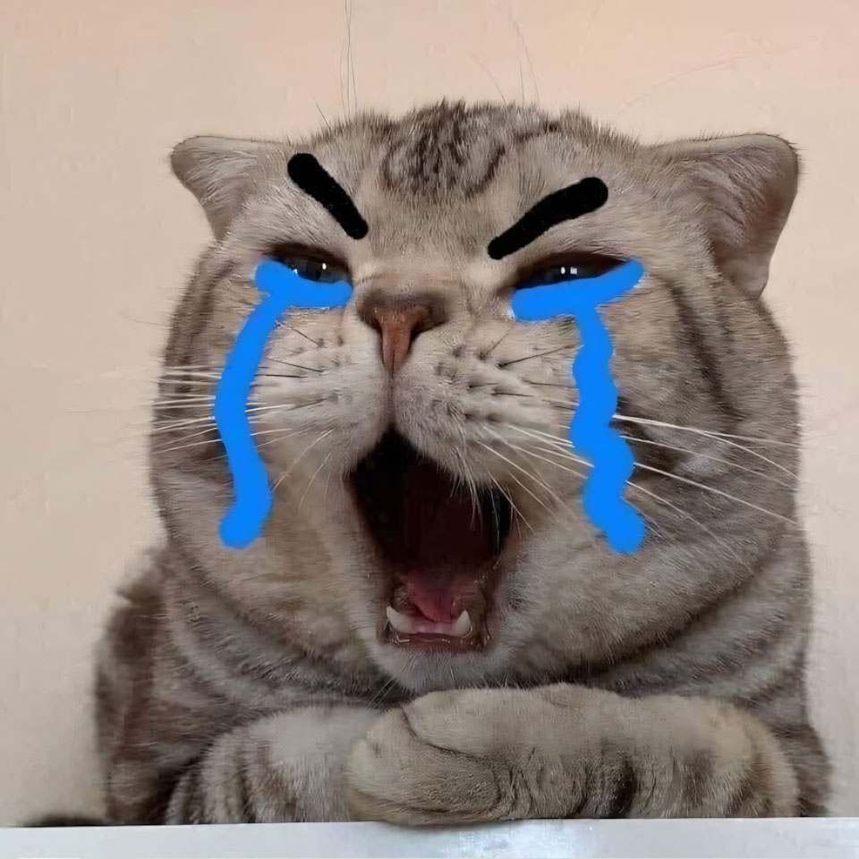 ha mieng anh con meo khoc 960px 960px avatar 2
