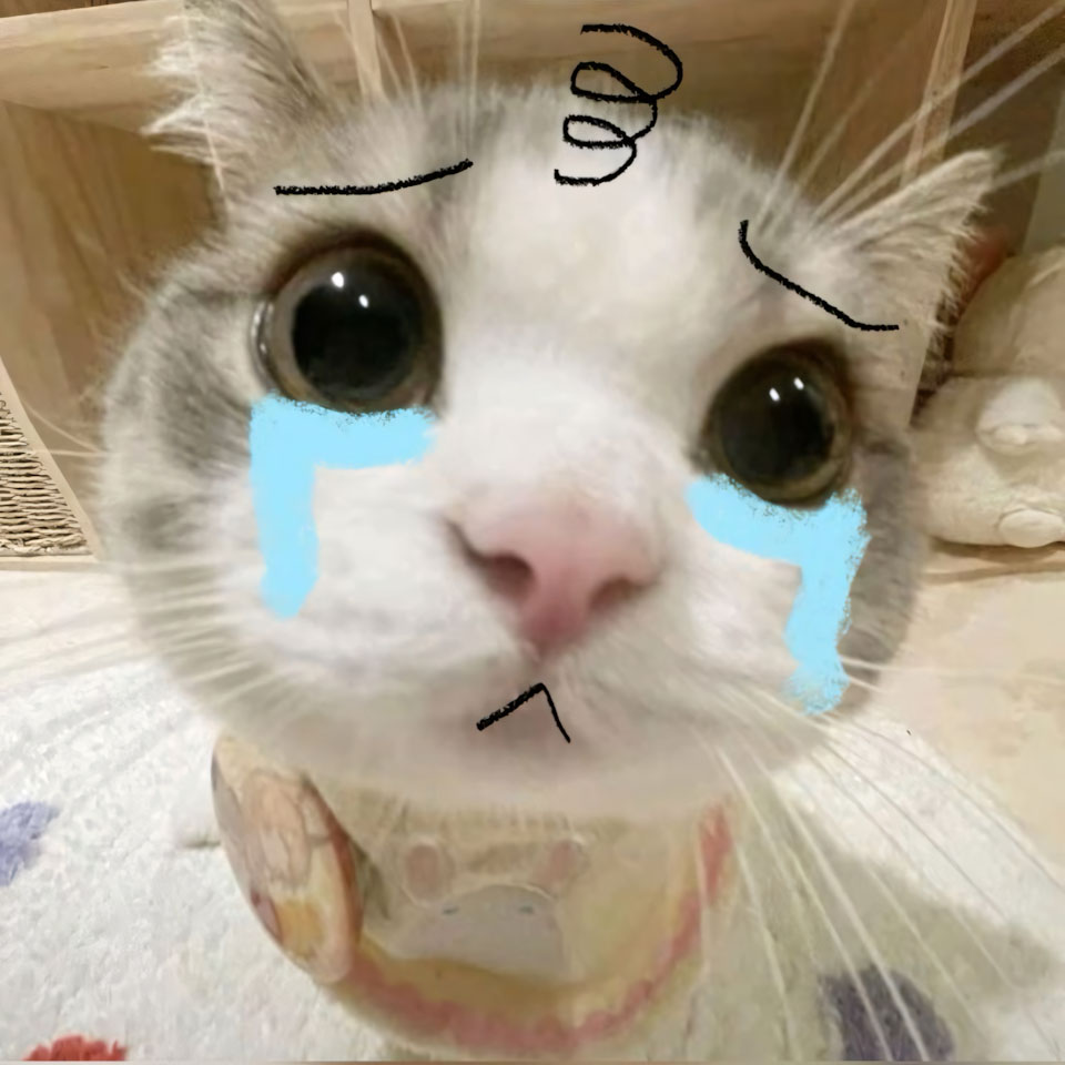 anh meme meo khoc 960px 960px avatar 5