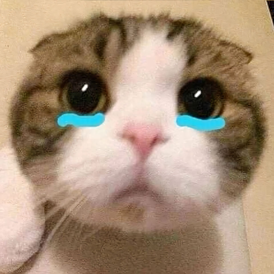 anh meme meo khoc 960px 960px avatar 19