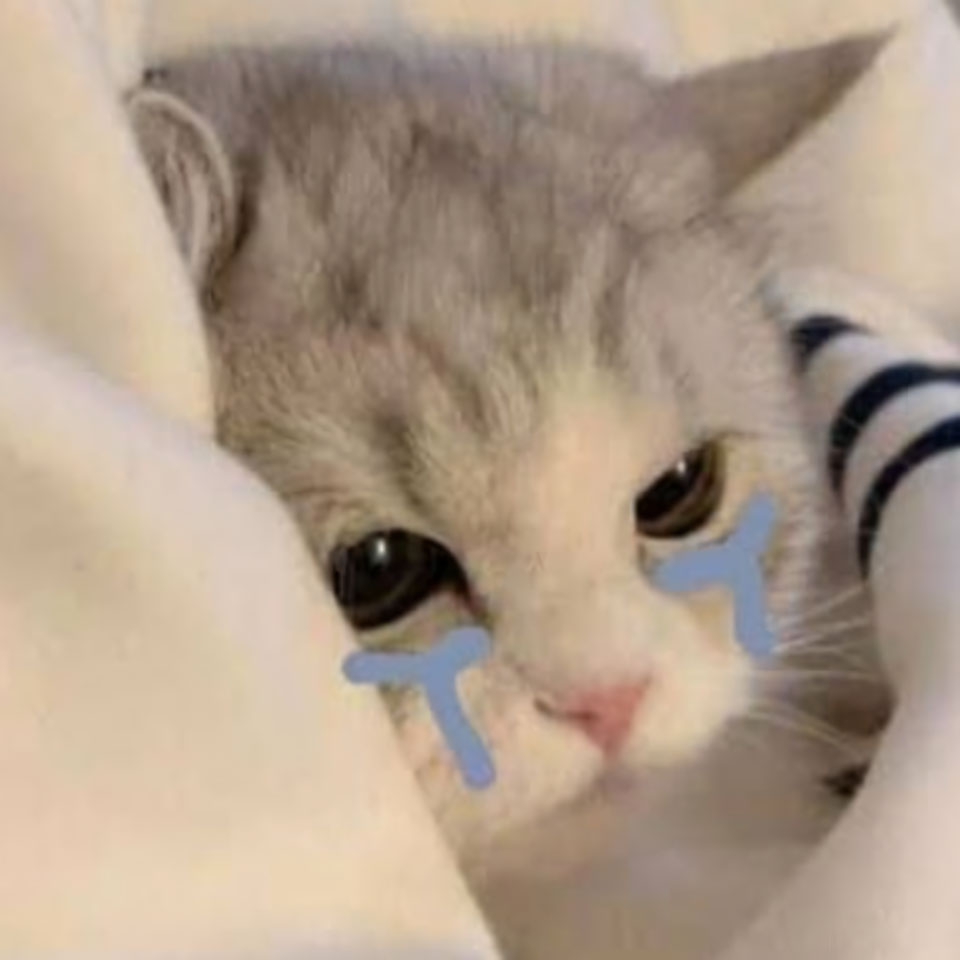 anh meme meo khoc 960px 960px avatar 20