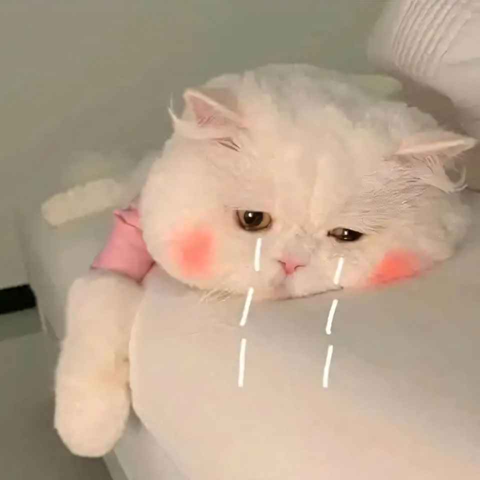 buon anh meo khoc cute 960px 960px avatar 2