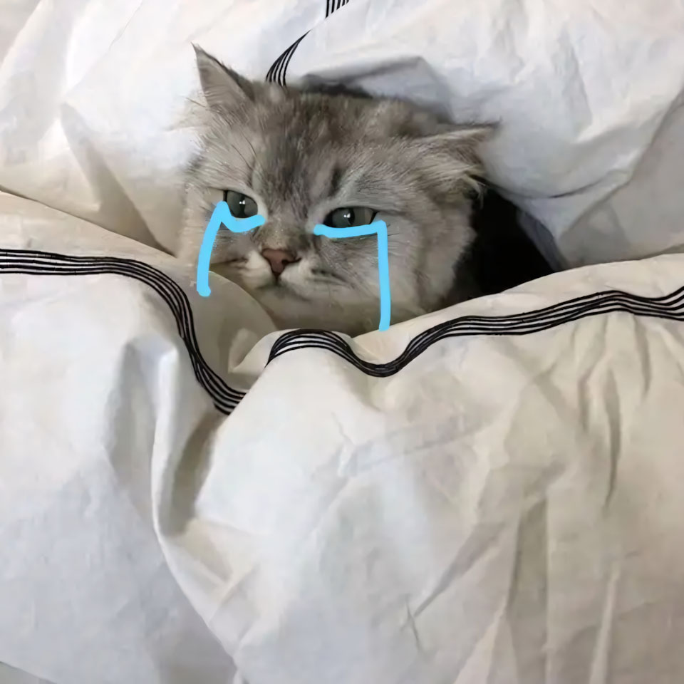 buon anh meo khoc cute 960px 960px avatar 6