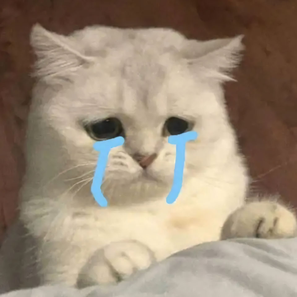 buon anh meo khoc cute 960px 960px avatar 8