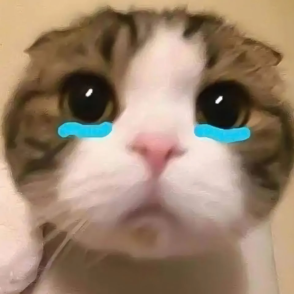 buon anh meo khoc cute 960px 960px avatar 10