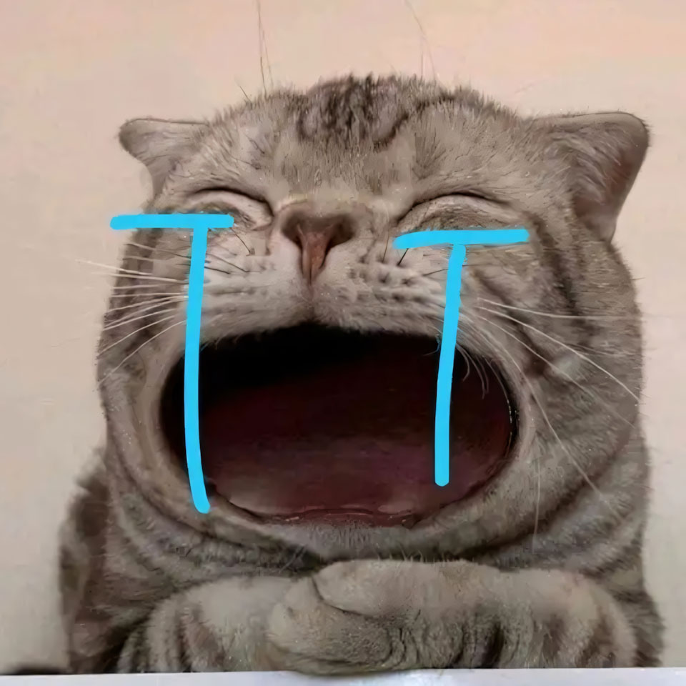 buon anh meo khoc cute 960px 960px avatar 11