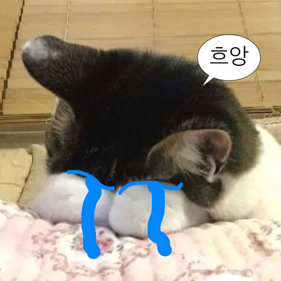 buon anh meo khoc cute 960px 960px avatar 12