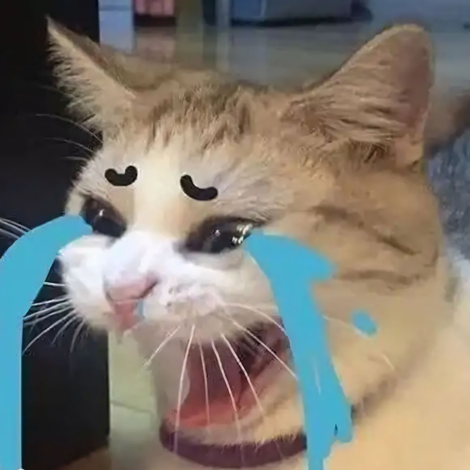 buon anh meo khoc cute 960px 960px avatar 13