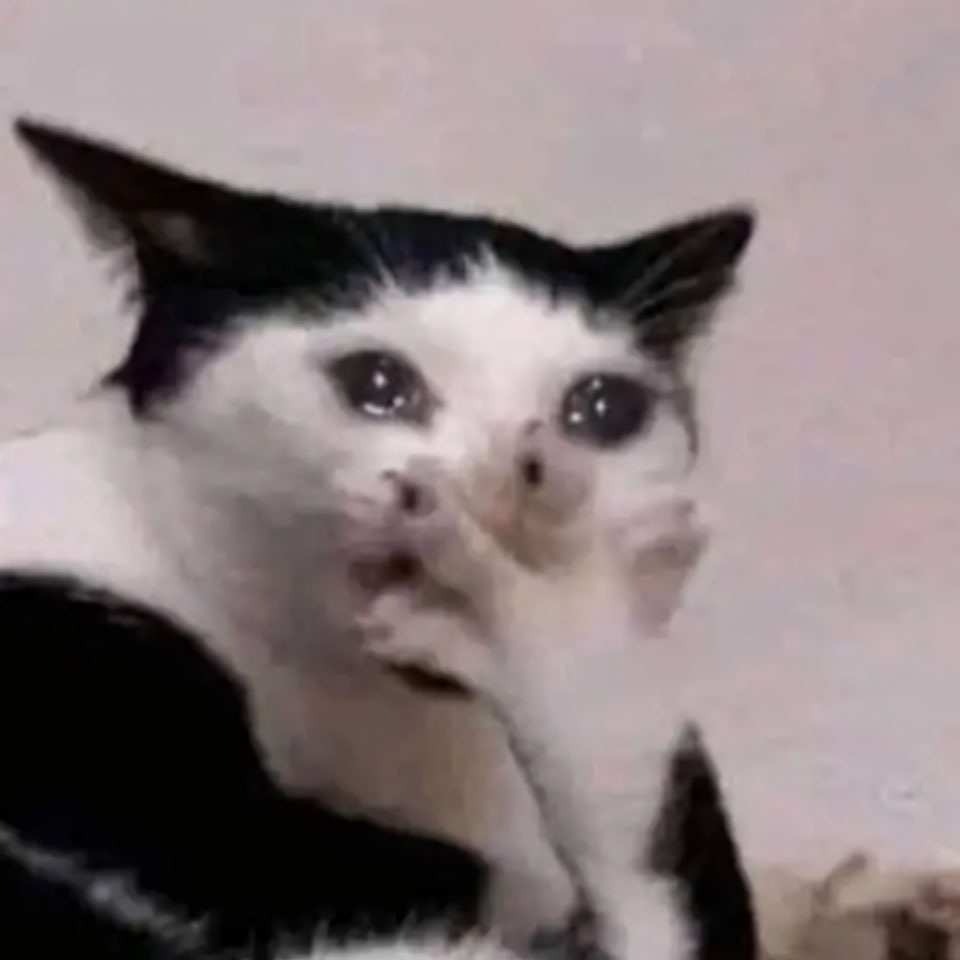 buon anh meo khoc cute 960px 960px avatar 15