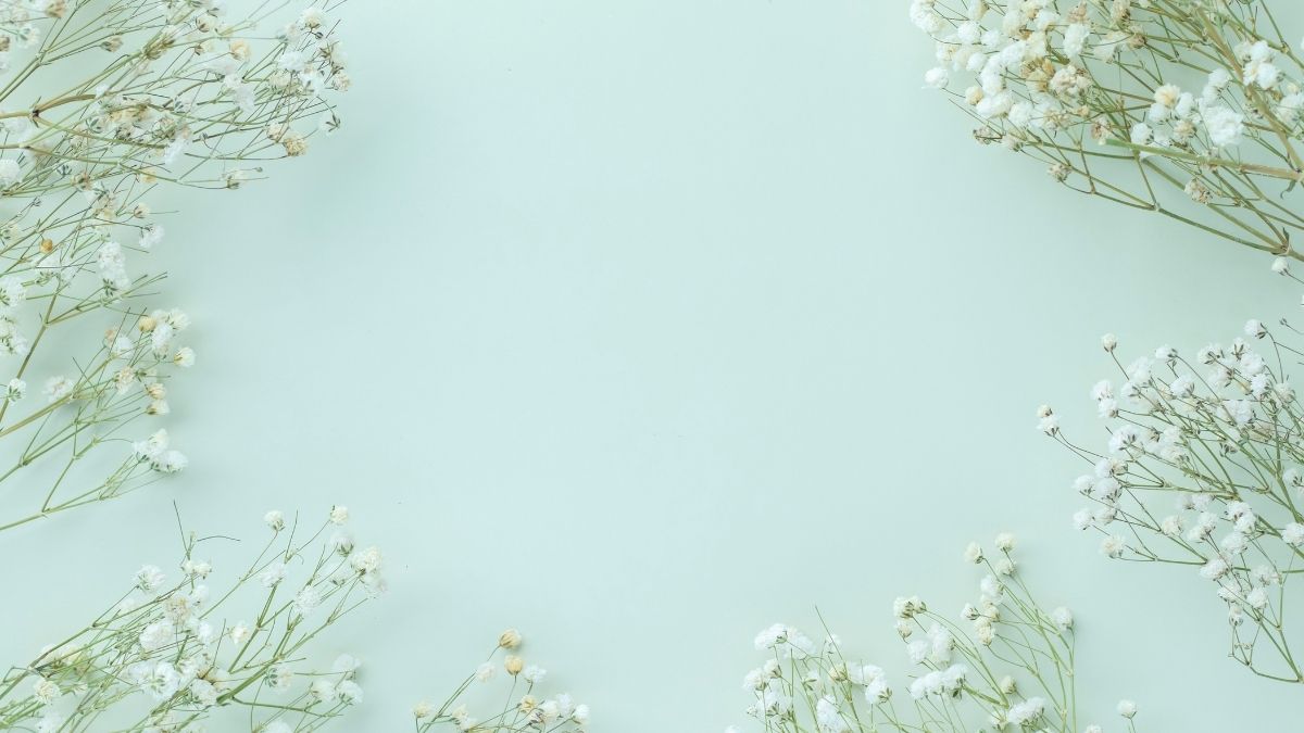 Background hoa lá thu hút mọi ánh nhìn