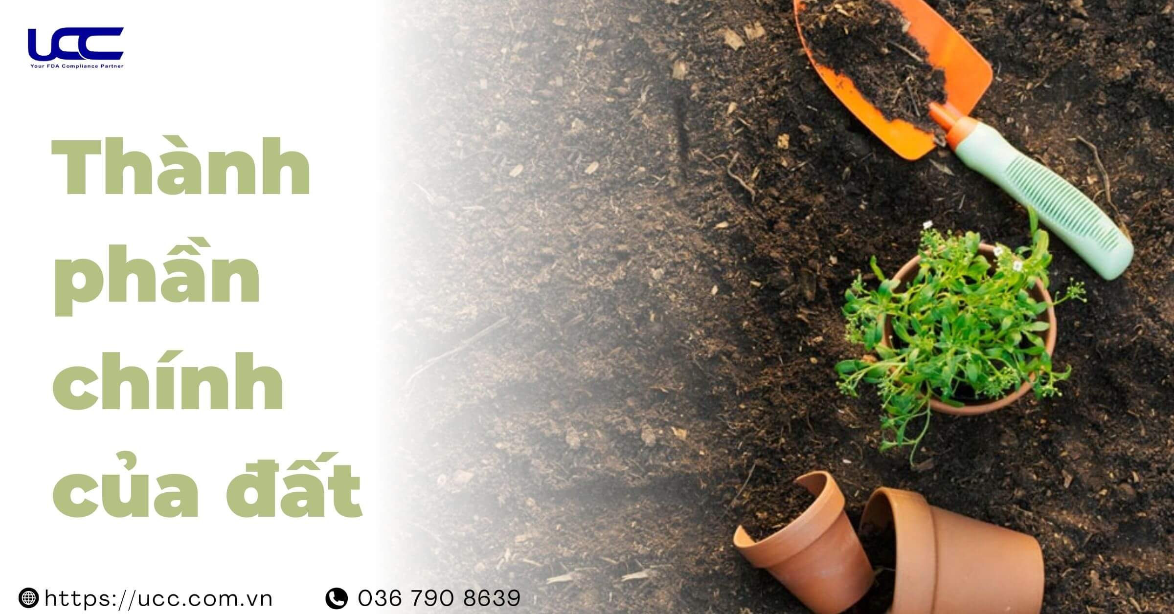 Thành phần chính của đất