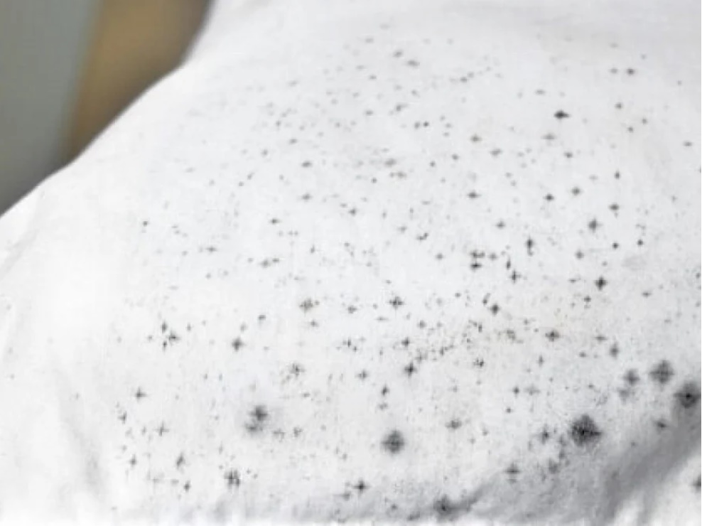 Áo trắng bị mốc đen li ti giặt xà phòng không sạch, đem ngâm vào loại nước này trắng như mới-2