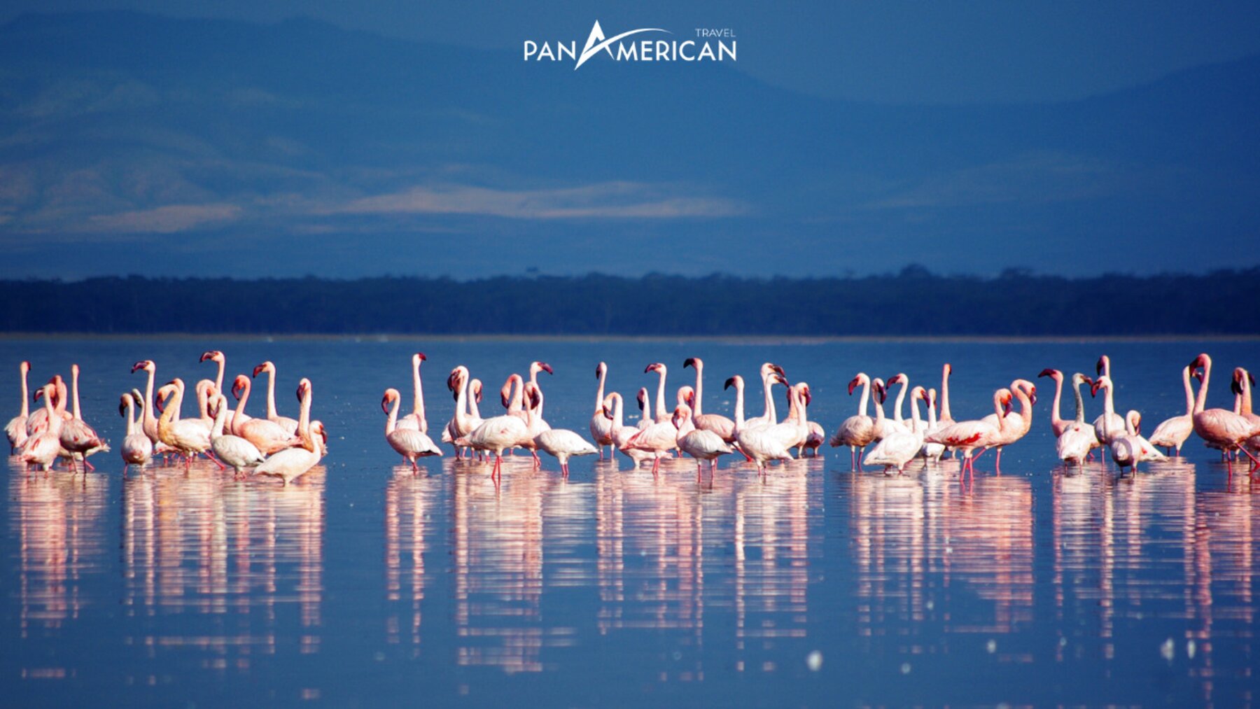 Hồ Nakuru trong đêm