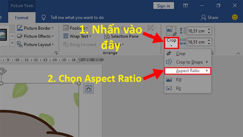 Đi đến phần Size > Nhấn vào mũi tên gần Crop > Chọn Aspect Ratio
