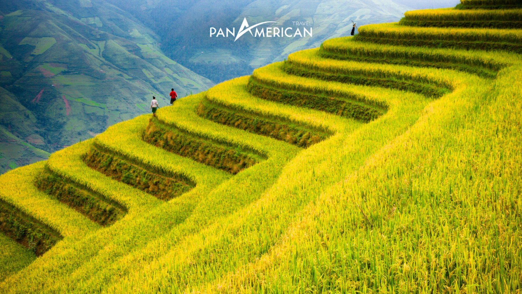 Thị trường tiêu thụ gạo lớn nhất thế giới