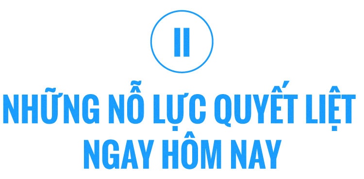 Hình tượng chim hồng hộc và điều Thủ tướng gửi gắm đầu năm 2020