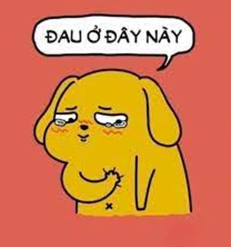 Vai trò và ý nghĩa của ảnh chó meme