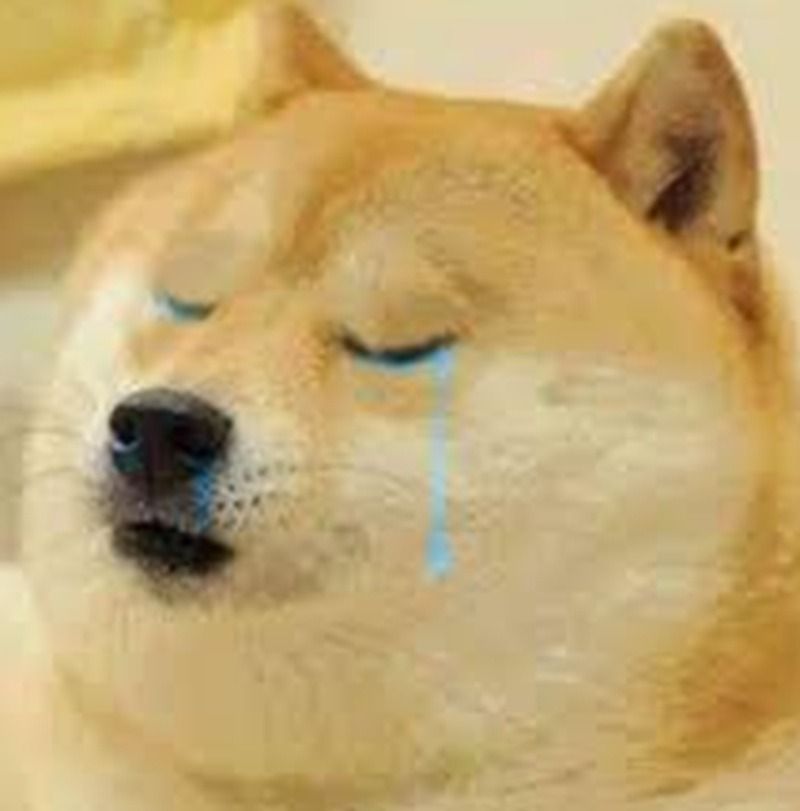 Ảnh chó meme khóc, buồn