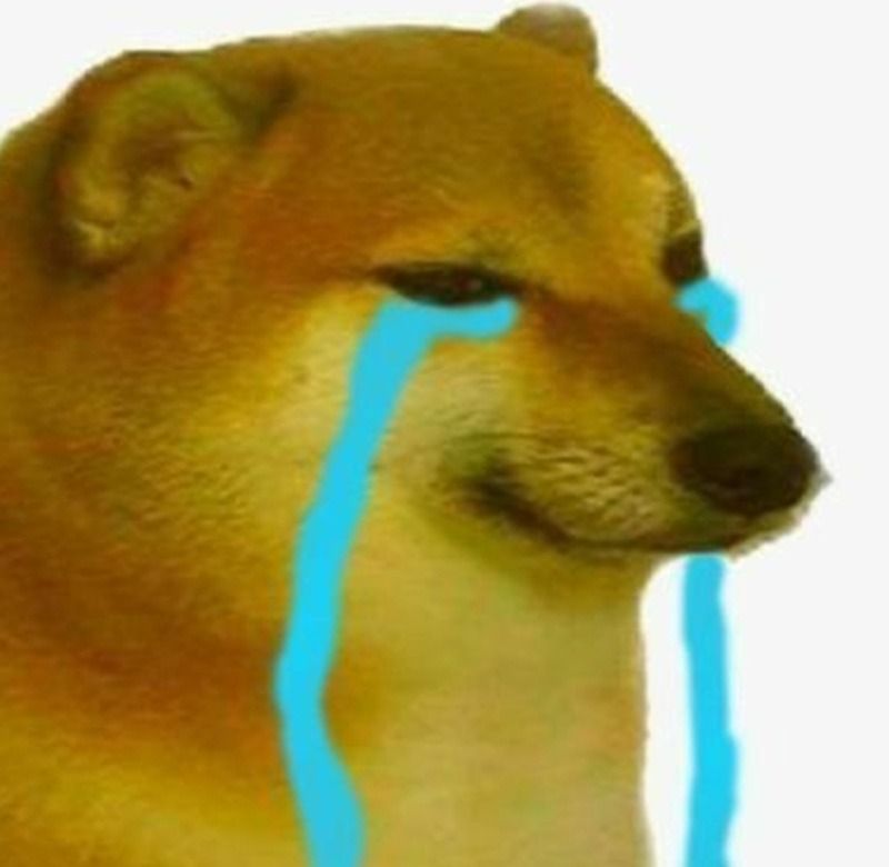 Ảnh chó meme khóc, buồn