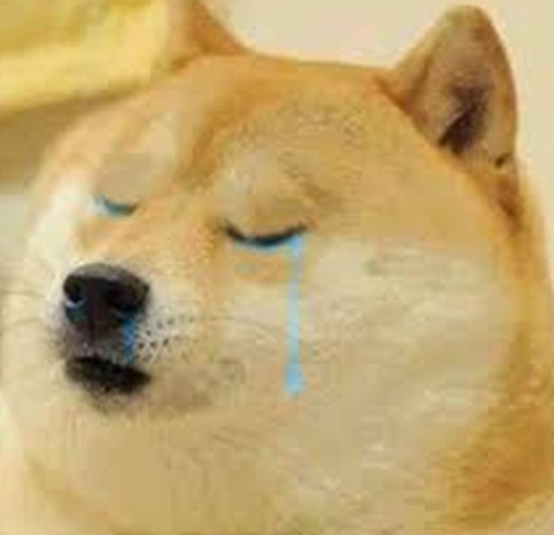 Ảnh chó meme khóc, buồn
