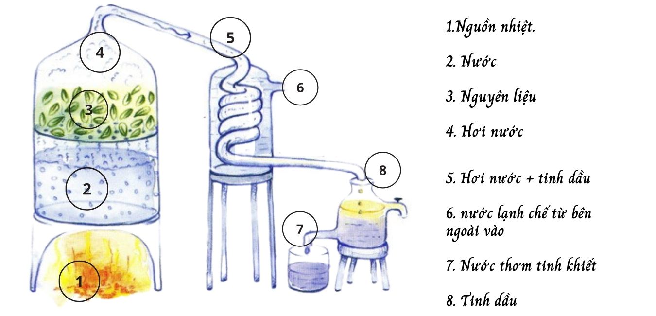 Mô hình chưng cất bằng nước và hơi nước