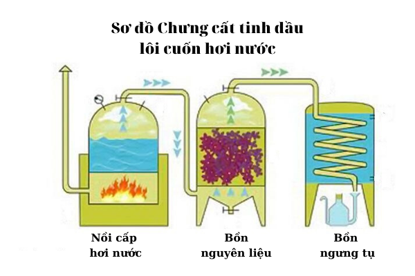 Chưng cất tinh dầu bằng phương pháp hơi nước, bình cấp nước riêng, bình nguyên liệu riêng