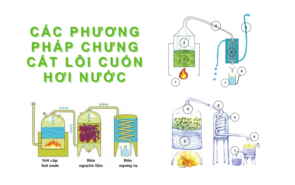 Các phương pháp chưng cất lôi cuốn hơi nước phổ biến bạn nên biết