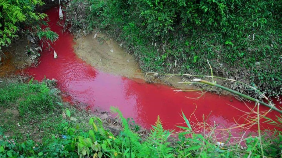 Chứng minh rằng nước ta có nguồn tài nguyên khoáng sản phong phú đa dạng