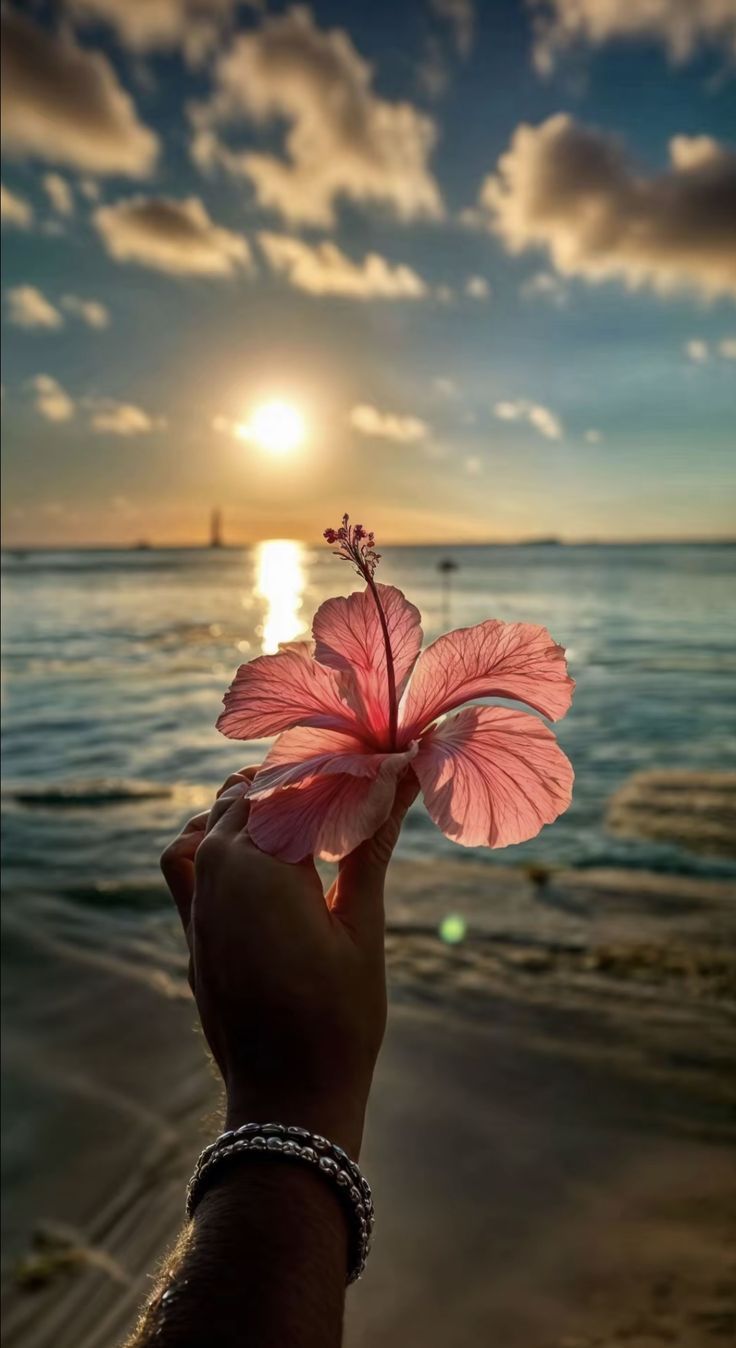 Bình minh yên tĩnh với sóng và cát