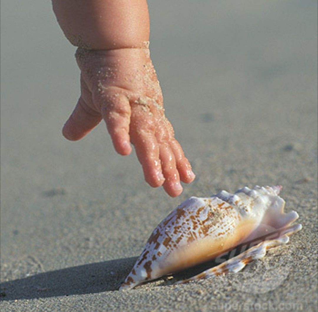 Chụp ảnh bé nhặt đá cuội tạo dáng tập trung