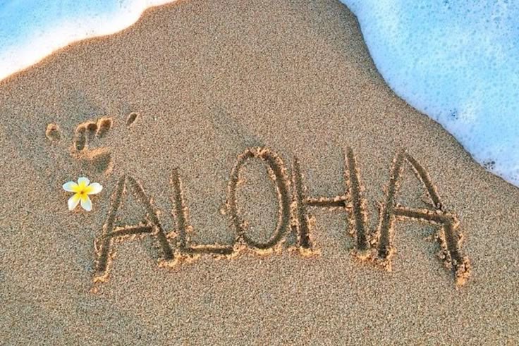 Chụp ảnh ở biển