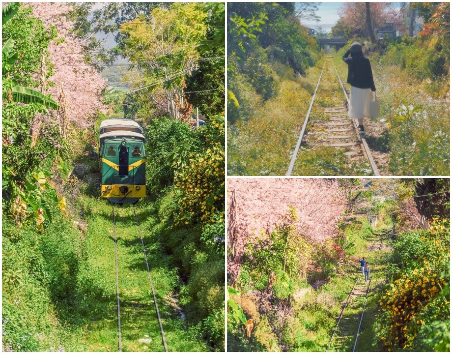 Cách chụp ảnh trên tàu hỏa